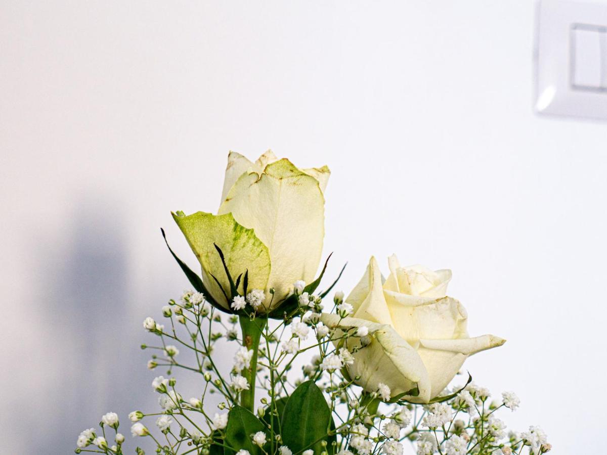 Birose B&B Affittacamere โอตรันโต ภายนอก รูปภาพ