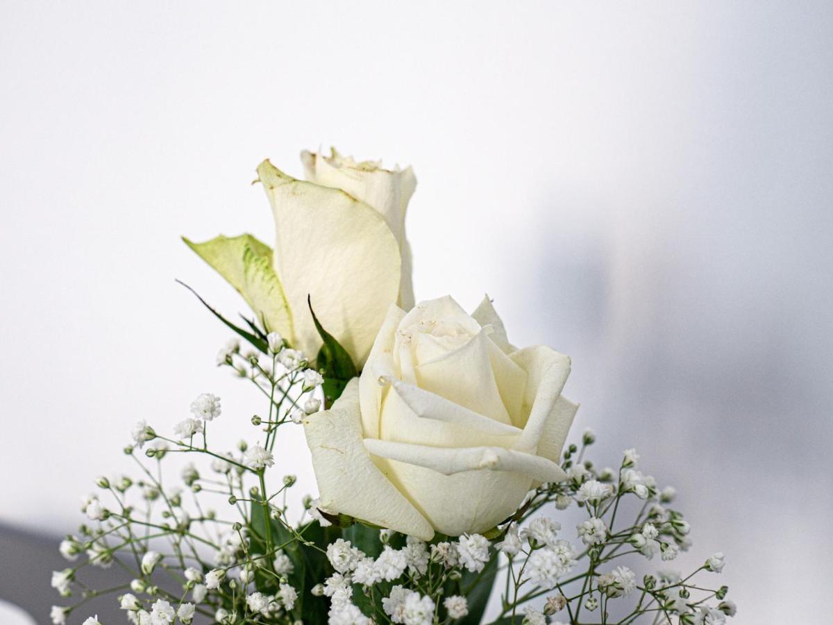 Birose B&B Affittacamere โอตรันโต ภายนอก รูปภาพ